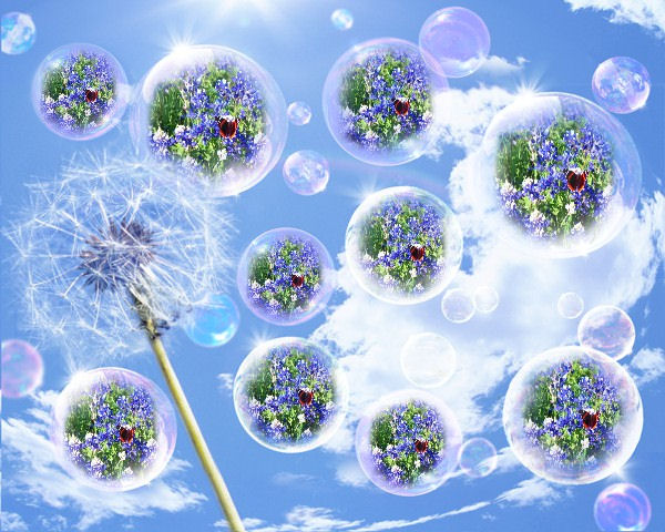 Bubbles